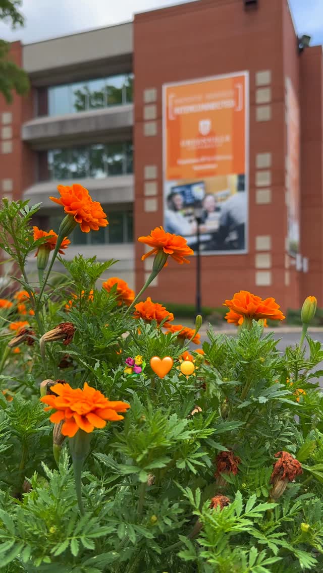 How would you describe the best place on campus in emojis? 🤔

Let us know in the comments! 🧡

#greenvilleuniv #college #worldemojiday #emojis